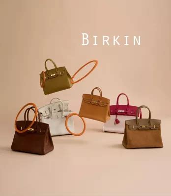 hermes birkin hero